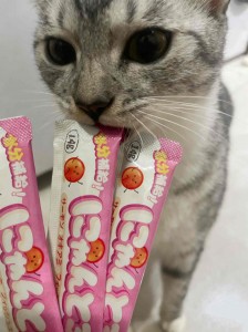 cat(1)